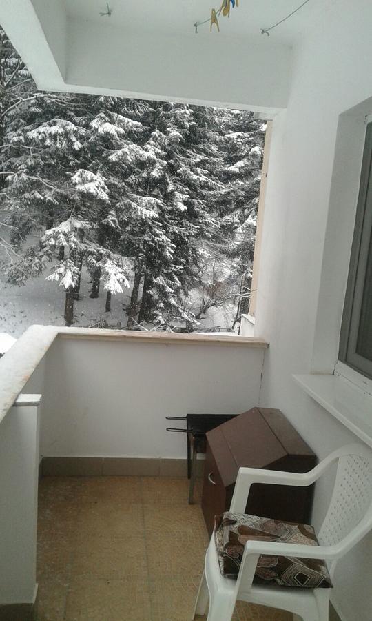 Apartament Nemira Szlanikfürdő Kültér fotó